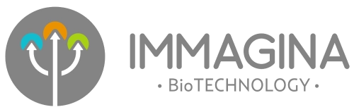 Sponsor Image